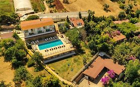 The Roof Ada
